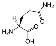 L-glutamīns Keto Diet